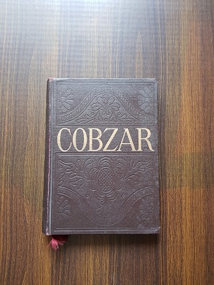 Taras Sevcenco – Cobzar