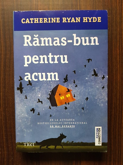 Catherine Ryan Hyde – Ramas bun pentru acum