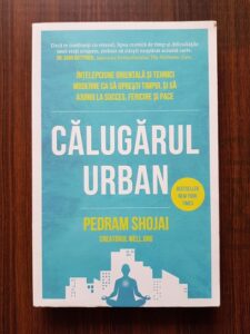 Pedram Shojai - Calugarul urban
