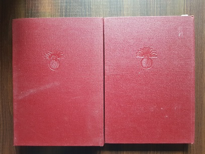 Gheorghe Romanescu - Istoria infanteriei romane 2 volume