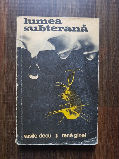 Vasile Decu - Lumea subterana