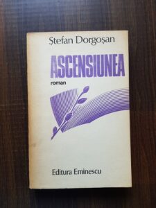 Stefan Dorgosan - Ascensiunea