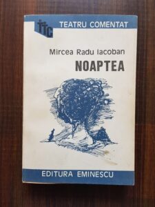 Mircea Radu Iacoban - Noaptea