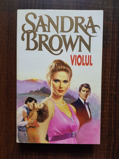 Sandra Brown - Violul