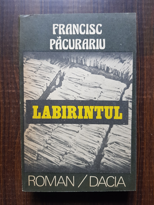 Francisc Pacurariu – Labirintul