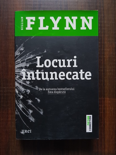 Gillian Flynn - Locuri intunecate