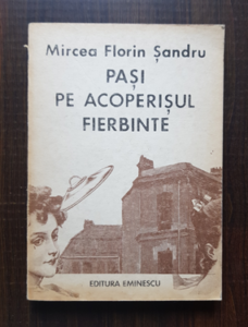 Mircea Florin Sandru - Pasi pe acoperisul fierbinte