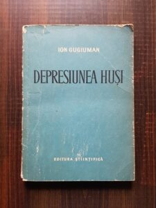 Ion Gugiuman - Depresiunea Husi