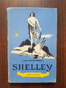 Dan Grigorescu - Shelley