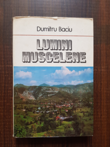 Dumitru Baciu - Lumini muscelene