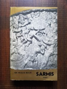 Ion Nicolae Bucur - Sarmis