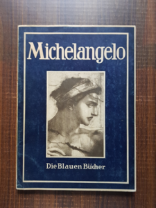 Michelangelo Buonarroti - Die blauen Bucher