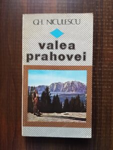 Gh. Niculescu - Valea Prahovei