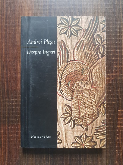 Andrei Plesu - Despre ingeri