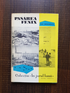 Ion Grigorescu - Pasarea fenix