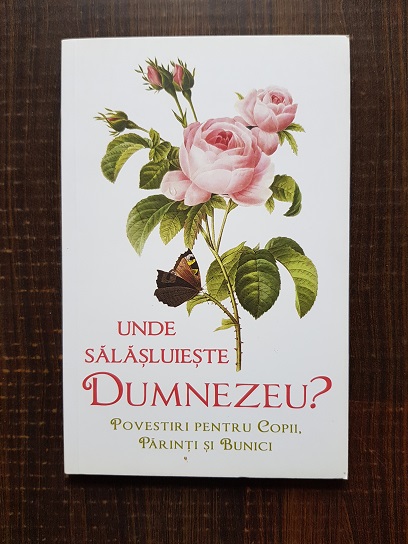 Unde salasluieste Dumnezeu? Povestiri pentru copii, parinti si bunici