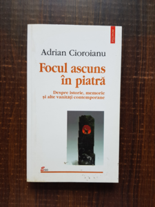 Adrian Cioroianu - Focul ascuns in piatra
