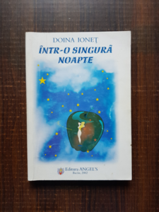 Doina Ionet - Intr-o singura noapte