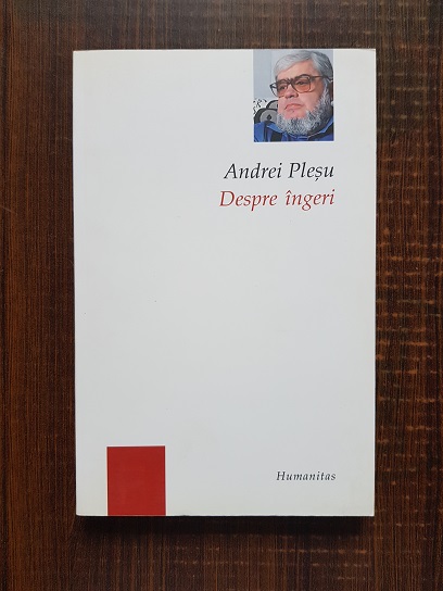 Andrei Plesu - Despre ingeri