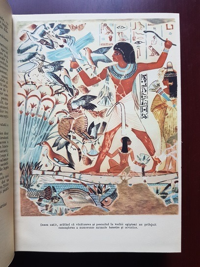 N. Botnariuc - Din istoria biologiei generale (1961, editie cartonata) - imagine 2