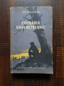 Ion Calugaru - Copilaria unui netrebnic