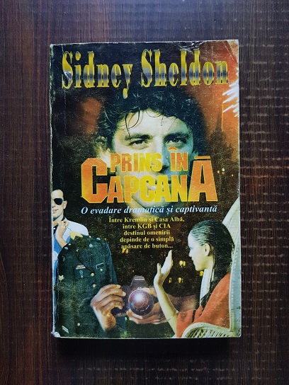 Sidney Sheldon - Prins in capcana