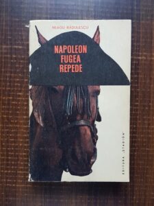 Neagu Radulescu - Napoleon fugea repede