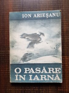 Ion Ariesanu - O pasare in iarna (1986)