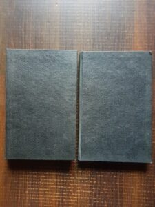 Leon Tolstoi - Ana Karenina 2 volume (editie veche cu ilustratii de A. Sirin, vignete de Anestin)