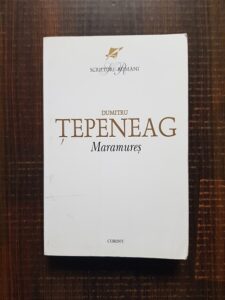 Dumitru Tepeneag - Maramures