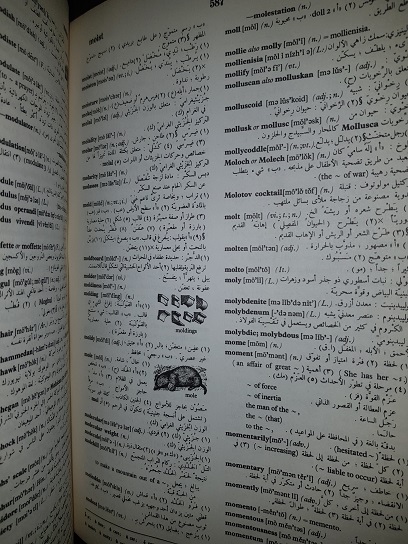 Munir Baalbaki - Al-Mawrid. A modern english-arabic dictionary (1972, cotor uzat, necesita relegare) - imagine 5