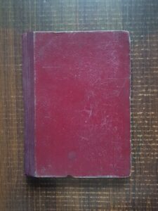 Romain Gary - Groapa bunei sperante (1946)
