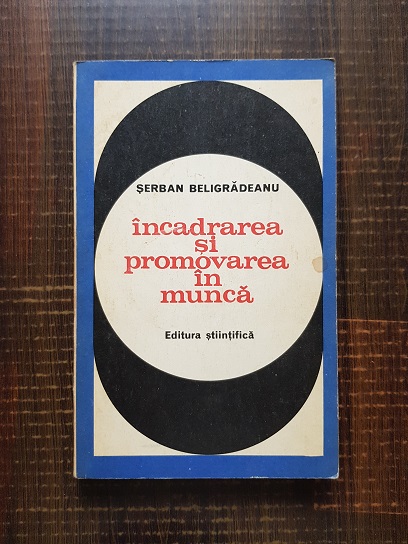 Serban Beligradeanu - Incadrarea si promovarea in munca