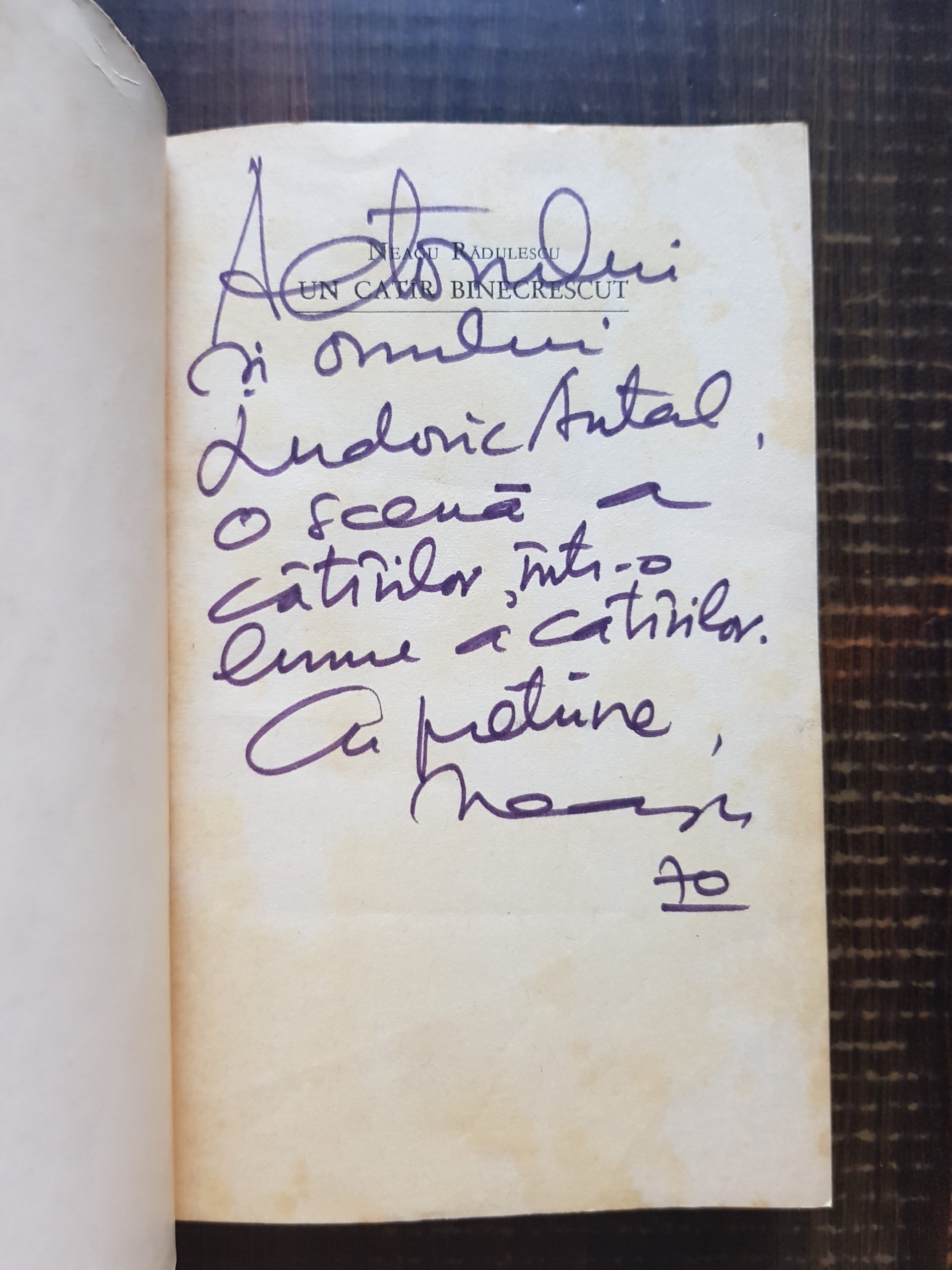Neagu Radulescu - Un catar binecrescut (cu autograful autorului) - imagine 2