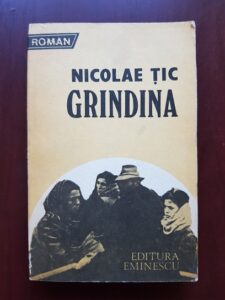 Nicolae Tic - Grindina