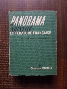 Gaetan Picon - Panorama de la nouvelle literature francaise