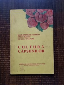 Keszi-Harmath Elisabeta, Hevesi Alexandru - Cultura capsunilor