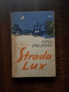 Petre Salcudeanu - Strada Lux