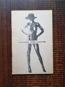 Constantin Stefanescu - Romanul unei cocote