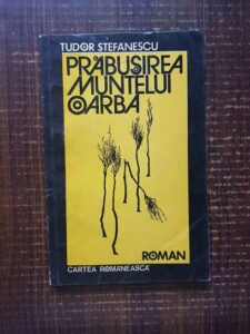 Tudor Stefanescu - Prabusirea muntelui Oarba