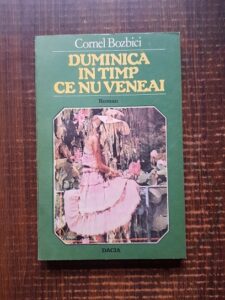 Cornel Bozbici - Duminica in timp ce nu veneai