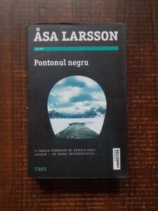 Asa Larsson - Pontonul negru