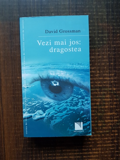 David Grossman – Vezi mai jos: Dragostea