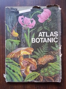Lucia Popovici, Constanta Moruzi, Ion Toma - Atlas Botanic (1985)