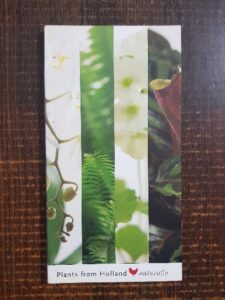 Pot plants