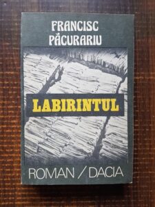 Francisc Pacurariu - Labirintul