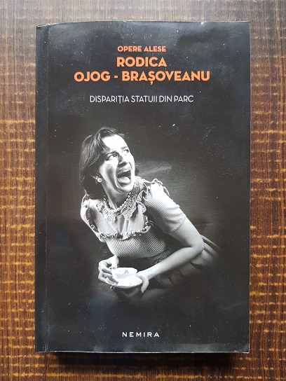 Rodica Ojog Brasoveanu - Disparitia statuii din parc