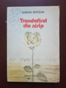 Adrian Bocsan - Trandafirul din nisip