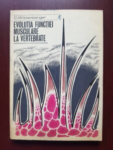 C. Wittenberger - Evolutia functiei musculare la vertebrate
