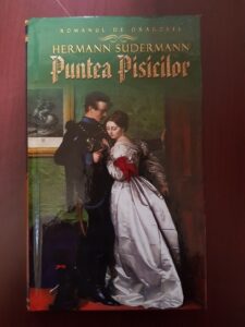 Hermann Sudermann - Puntea pisicilor (2012, editie cartonata)